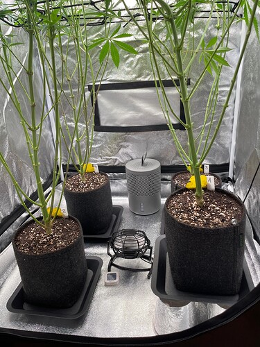 Growreport Bild 22