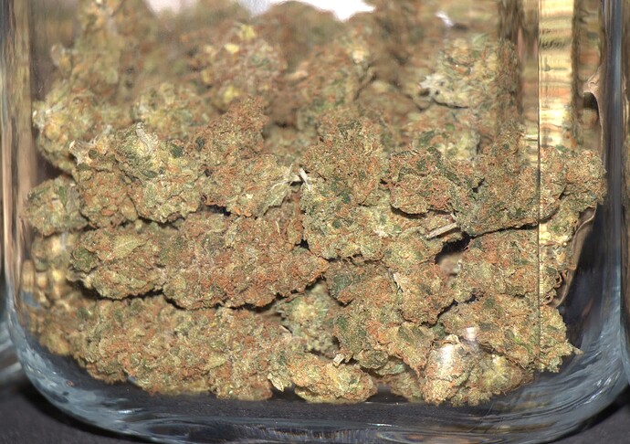 Growreport Bild 56