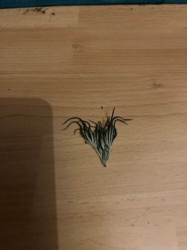 Growreport Bild 14