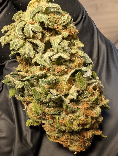 Growreport Bild 5