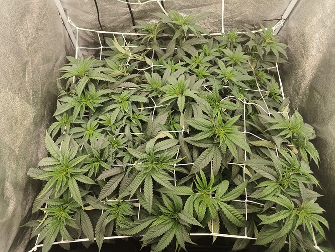 photo_5830397020781789195_y