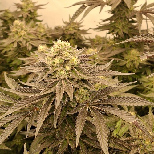 480733240_122169240038293599_4499954804069614633_n