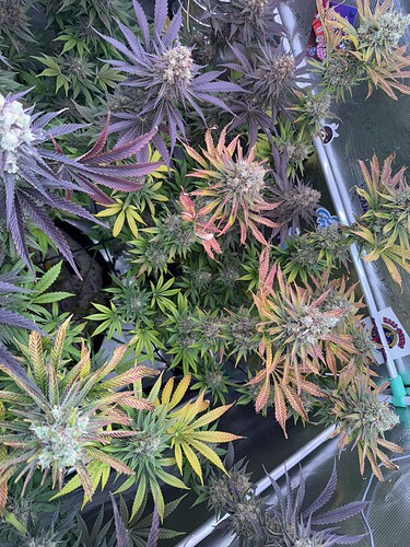 Growreport Bild 12