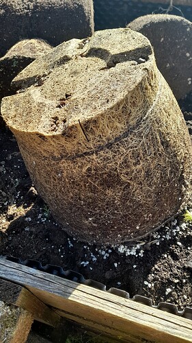 Growreport Bild 3