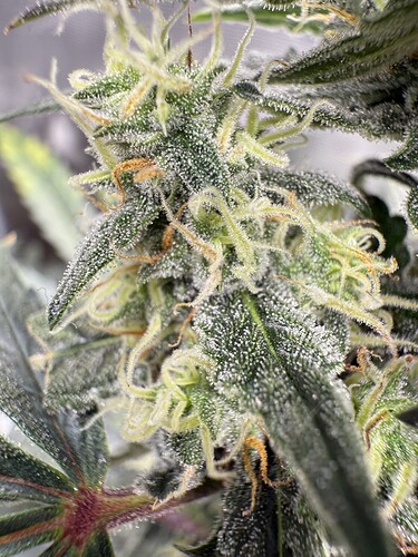 Growreport Bild 18