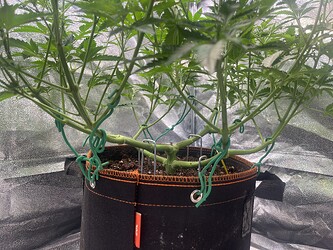 Growreport Bild 10