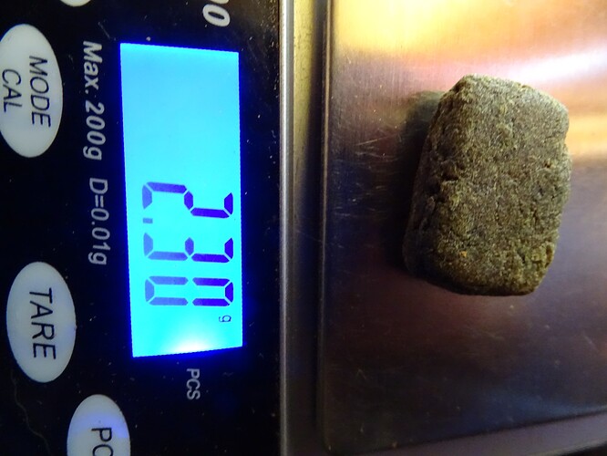 Growreport Bild 37