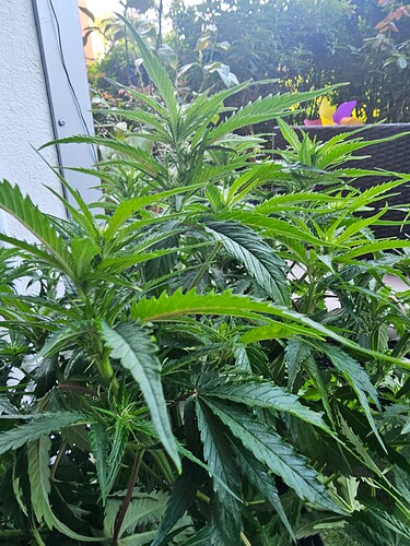 Growreport Bild 14