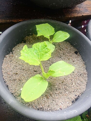Growreport Bild 10