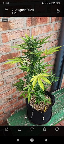 Screenshot_2024-08-15-21-50-56-034_com.miui.gallery