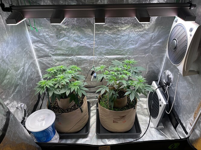 Growreport Bild 20