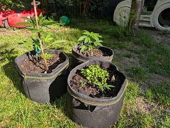 PXL_20250506_065236965