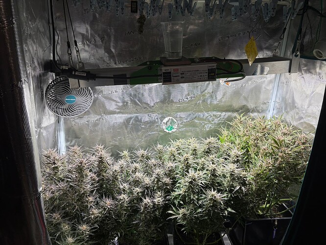 Growreport Bild 1