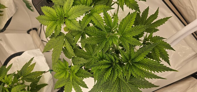 Growreport Bild 7