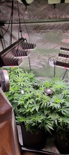 Growreport Bild 19