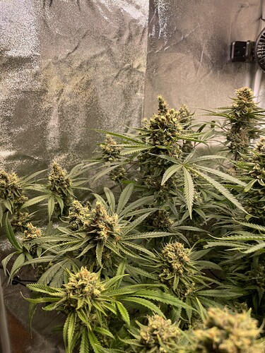Growreport Bild 16