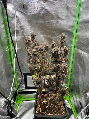Growreport Bild 14