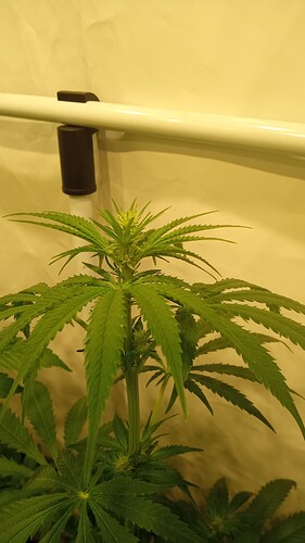 Growreport Bild 9