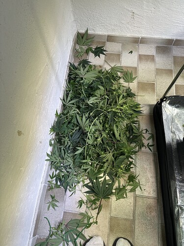 Growreport Bild 43