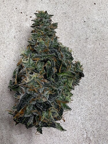 Growreport Bild 4