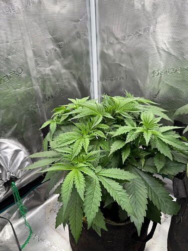 Growreport Bild 11
