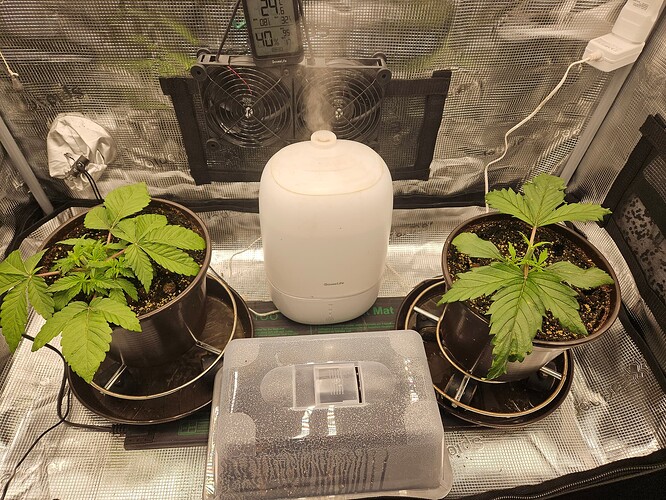 Growreport Bild 21