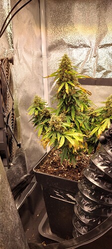 Growreport Bild 10