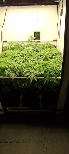 595567739_122216189426293599_3410705277491788779_n