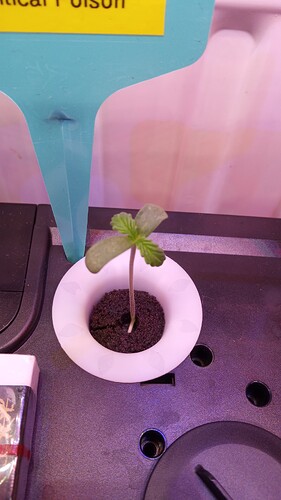 Growreport Bild 3