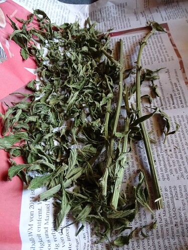 Growreport Bild 4