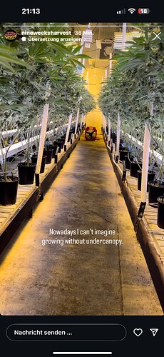 Growreport Bild 1