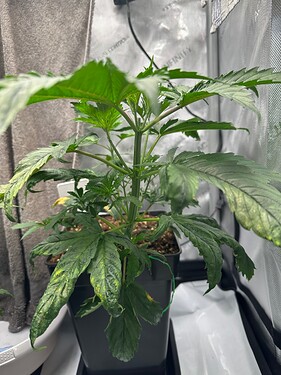 Growreport Bild 18