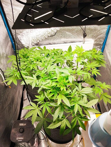 Growreport Bild 16