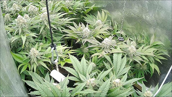 Growreport Bild 12