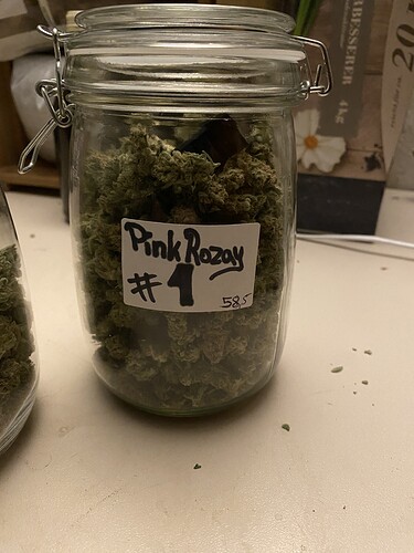 Growreport Bild 1