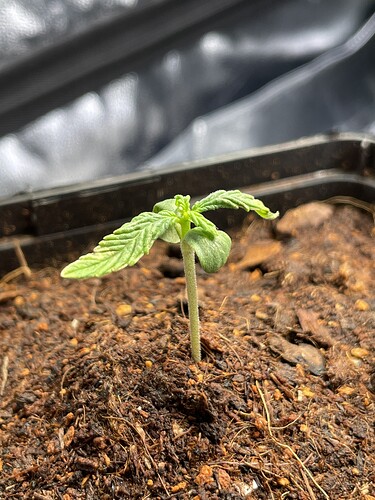 Growreport Bild 14