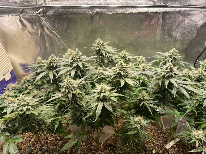 Growreport Bild 10