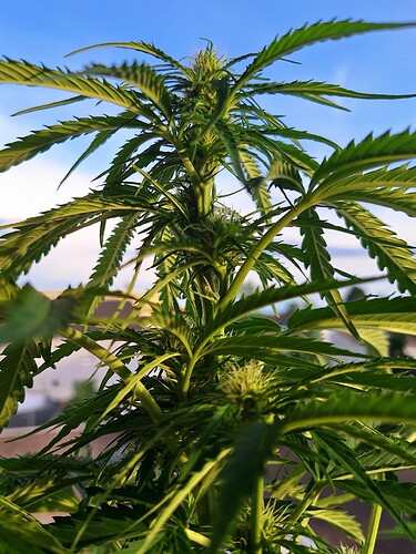 Growreport Bild 5