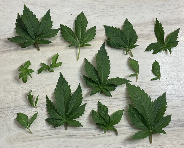 Growreport Bild 53