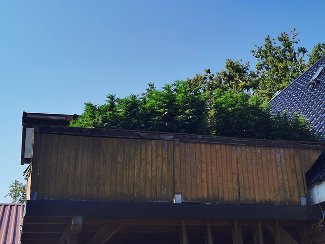 Growreport Bild 24