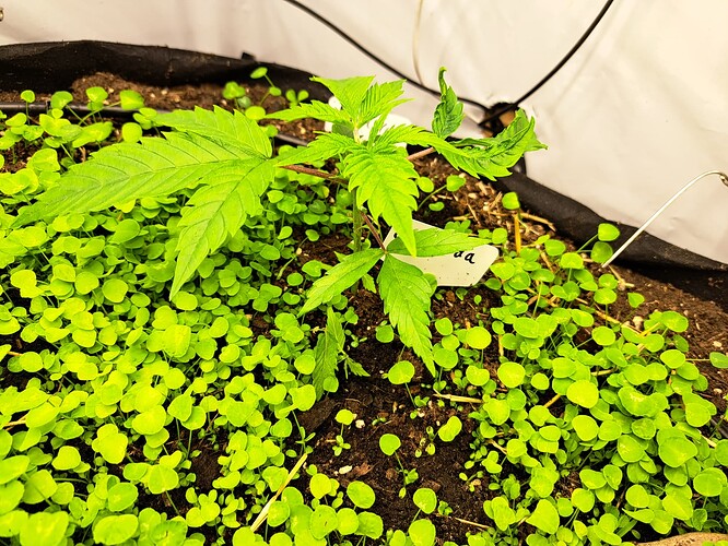 Growreport Bild 19