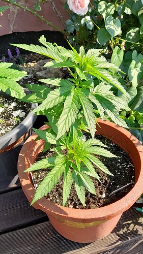 Growreport Bild 10