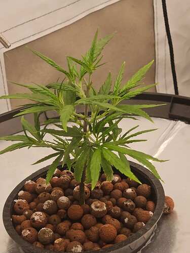 Growreport Bild 30