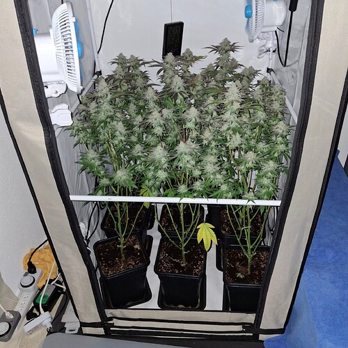 Growreport Bild 7