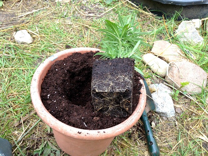 Growreport Bild 24