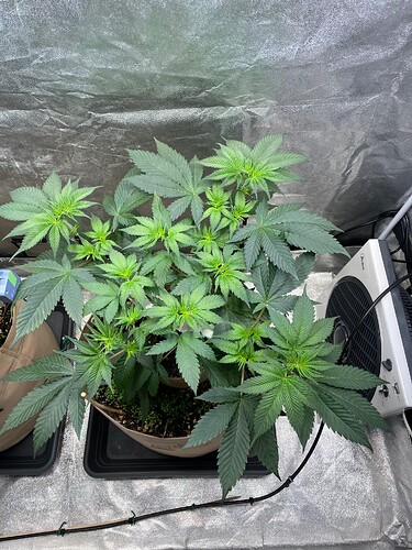 Growreport Bild 21