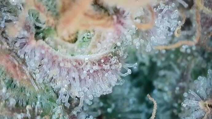 Growreport Bild 42