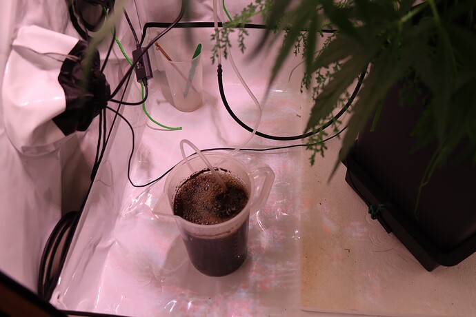 Growreport Bild 5