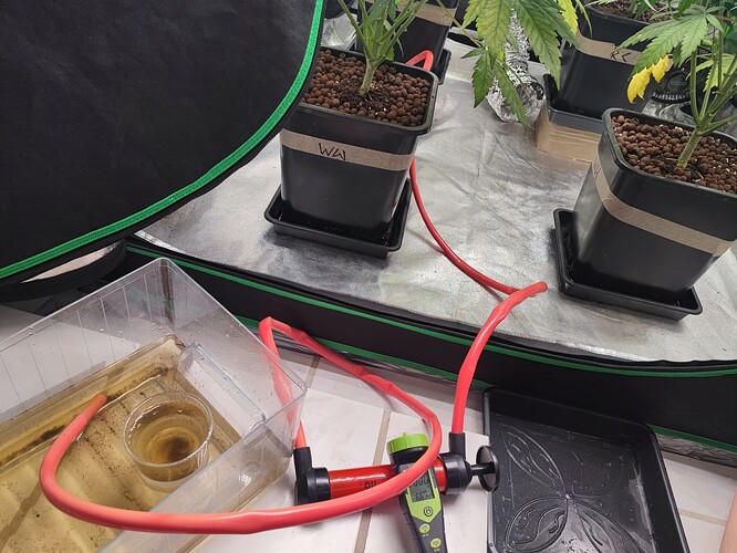Growreport Bild 14