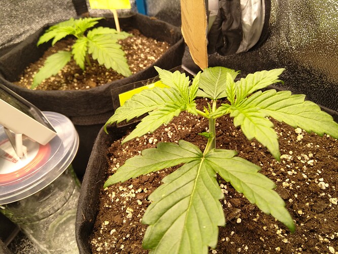 Growreport Bild 8